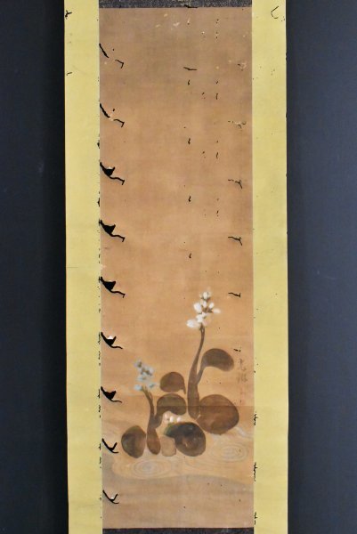 Yahoo!オークション -「尾形光琳 掛け軸」(日本画) (絵画)の落札相場