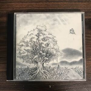 D462 中古CD100円 BUMP OF CHICKEN ユグドラシル