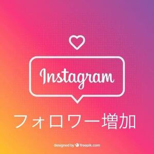 【Instagramフォロワー3万人増加】YouTube Instagram Twitter Tiktok チャンネル登録 いいね インスタ x 3か月保証有り