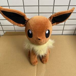 ポケモン　こっとん　イーブイ　ぬいぐるみ　ハートランド