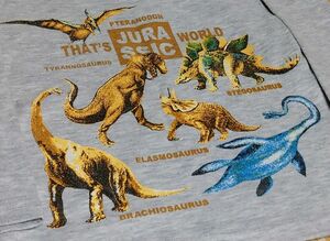 THAT'S JURASSIC WORLD(ジュラシック・ワールド)デザイン・長袖Tシャツ【新品同様・美品】