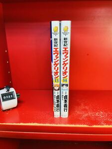 貞本 義行 新世紀エヴァンゲリオン (13.14) (カドカワコミックス・エース)2冊セット