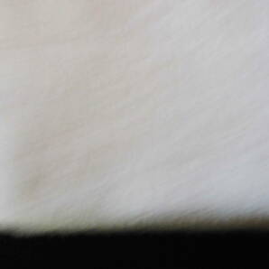 タオルケット今治IKEUTIBURANNDOオーガニックコットン最高級品29,000円のお品バンブー、２の画像3