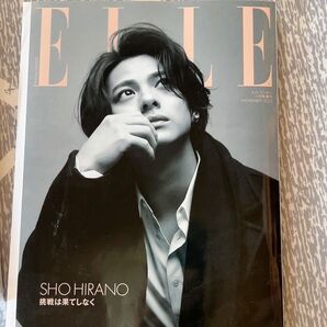 ELLE JAPON 特別版 平野紫耀