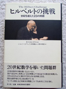 ヒルベルトの挑戦 世紀を超えた23の問題 (青土社) ジェレミー・J・グレイ、好田 順治・小野木 明恵訳