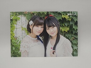 水瀬いのり＆小倉唯 ポストカード 「声優グランプリ 2016年11月号」 対象店舗購入特典　グッズ　