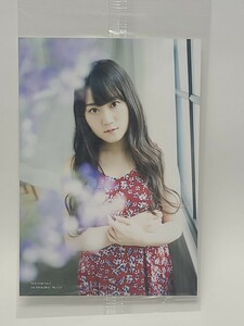 未開封　小倉唯　ブロマイド生写真　雑誌「別冊CD＆DLでーた My Girl vol.18 “VOICE ACTRESS EDITION”」アニメイト特典　声優