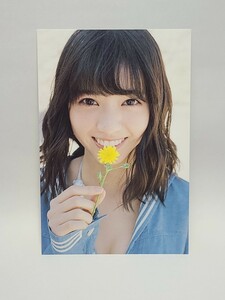 西野七瀬　ポストカード 「写真集 風を着替えて」 封入特典　乃木坂46　アイドル　