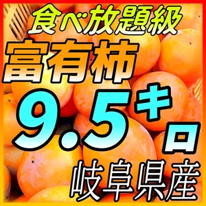 『岐阜県産地直送』ご家庭用富有柿9.5キロ！！