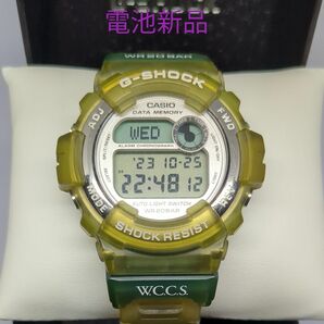 カシオ G-SHOCK DW-9600 ＷＣ　スクリューバック