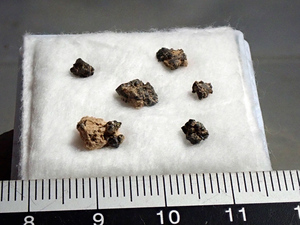 国産鉱物　岡山県産　灰チタン石　ペロブスカイト