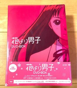 アニメ　花より男子　 DVD 初回限定　嵐　松本潤　井上真央小栗旬