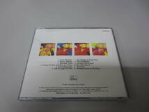 The Teardrop Explodes/Everybody Wants to Shag... 国内盤帯無CD ネオアコ ポストパンク ネオサイケ Julian Cope Big In Japan Wild Swans_画像4