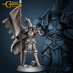 Galaad Miniatures Gaa-220604 CloakKnightBanner 3Dプリント D＆D メタルミニチュア メタルフィギュア TRPG フロストグレイブ