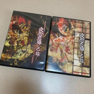 己龍 ４７都道府県単独巡業「愛怨忌焔」 千秋楽＆ドキュメント盤 ライブDVD セット