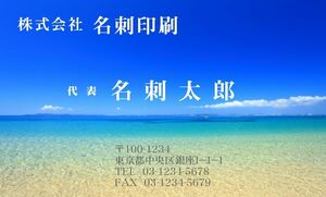 ★フルオーダーフルカラー名刺 ロゴ・写真・QRコード無料　片面1箱100枚 900円 プラケース付 ★