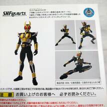 【美品】S.H.Figuarts 真骨彫製法 仮面ライダーアギト グランドフォーム フィギュア【アニメ 特撮 ヒーロー 魂ウェブ商店 希少 レア】35_画像7