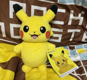 ポケットモンスター ぬいぐるみ ピカピカのピカチュウ ポケモンセンター限定