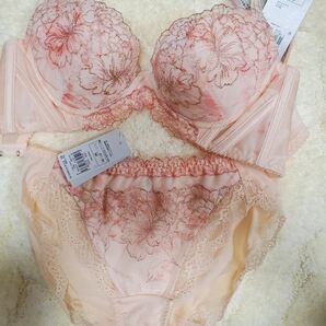 70C/M トリンプ TR0097 プレミアムデザイン レッドレーベル 寄せアゲハ 23春夏
