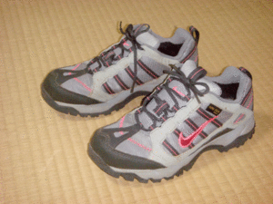 NIKE・ナイキ◆ACG Air Gore-Tex XCR・レディースシューズ◆23.0cm◆防水