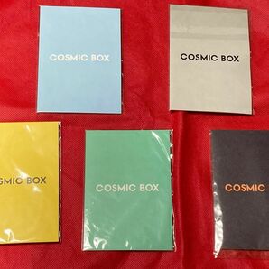 【新品未使用】YUKI FC COSMIC BOX 特典 ピンバッジ 5個