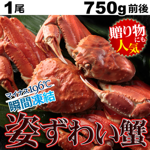 【出品4個】　カナダ産 ボイル 姿 ズワイガニ 1尾 (約750g前後) 鮮度抜群 瞬間凍結 さんきん1円