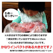 まぐろの貴重品 マグロ カマ 約 2kg (2~5個入) さんきん1円_画像3