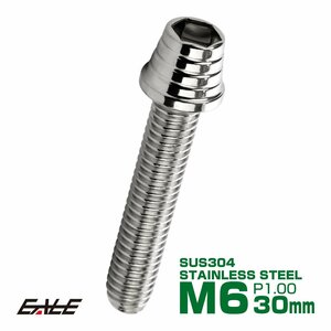 M6×30mm ステンレス テーパーシェルヘッドボルト キャップボルト クランクケース等エンジン周りに シルバー TB0252