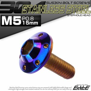 SUS304 フランジ付き ボタンボルト M5×15mm P0.8 六角穴 焼きチタン色 ステップホール ステンレス ボルト TR0201