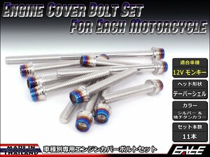 12Vモンキー用 エンジンカバー ボルト11本セット ステンレス製キャップボルト使用 CTCテーパーシェルヘッド シルバー&焼チタンカラーTB6111