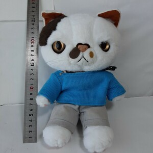 プチコパン ミミ ぬいぐるみ 三毛猫 フィギュア 猫 かわいい JAPAN TOYS CAT