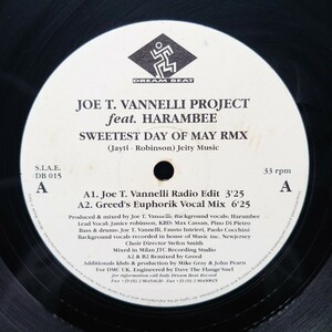 Joe T. Vannelli ProjectFeatHarembee『Sweetest Day Of May』/LP/レコード/#EYLP1496