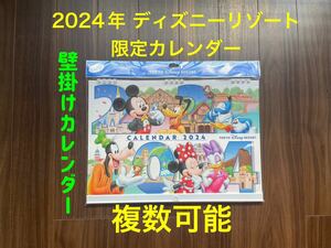 Y053 壁掛け カレンダー【複数可能】新品 2024年 東京ディズニーリゾート 限定 カレンダー 2024 ディズニー Disney resort 41周年 100周年