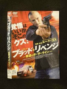 ○016384 レンタルUP▲DVD ブラッド・リベンジ 奪還のボーダーライン 501 ※ケース無