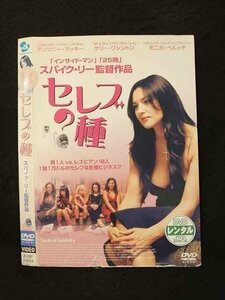 ○016461 レンタルUP◆DVD セレブの種 24654 ※ケース無