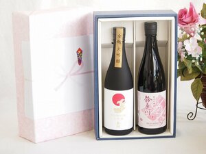 贅沢な日本酒感謝ボックス2本セット(金鯱大吟醸(愛知) 鈴鹿川純米吟醸(三重)) 720ml×1本 750ml×1本