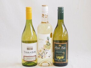  production ground another white wine car rudone3 pcs set ( terrace ru( Chile ) fender te full -ta( Chile ) rough . Avy ula( Spain )) 750ml×3ps.