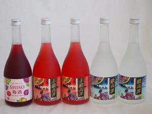  comfort . height .5 pcs set ( shiso shochu . height .20% SHISO plum wine 12% red . height .20%) 720ml×5ps.