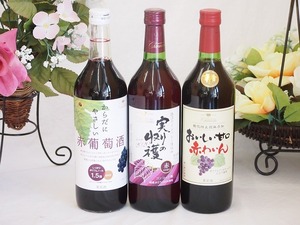 ワインセット シャンモリスペシャル3本赤ワインセット 720ml×3本 盛田甲州ワイナリー(山梨県)