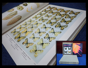 [ sea .].. company world. age bee .u. 10 storm . map version compilation / explanation compilation search )age is butterfly specimen 