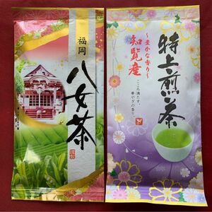 【銘茶】2本 九州銘茶 八女茶 知覧茶 特上煎茶 お茶 まとめ買い 煎茶 緑茶 飲料 プレゼント ギフト クーポン利用