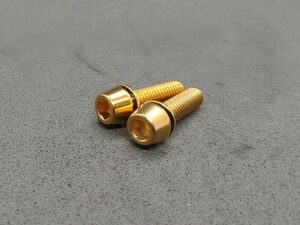 チタン製ボルトM5×18mm ゴールド 2本セット