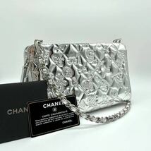 CHANEL シャネル チェーン ショルダーバッグ ハンドバッグ アイコン ココマーク シルバー_画像1