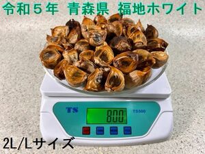 ◎やみつきの黒にんにく◎２Ｌ・Ｌサイズ 800g☆◎令和5年☆青森県産 福地ホワイト六片種◎天然の抗生物質！