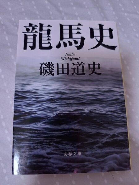 文庫 龍馬史 磯田道史