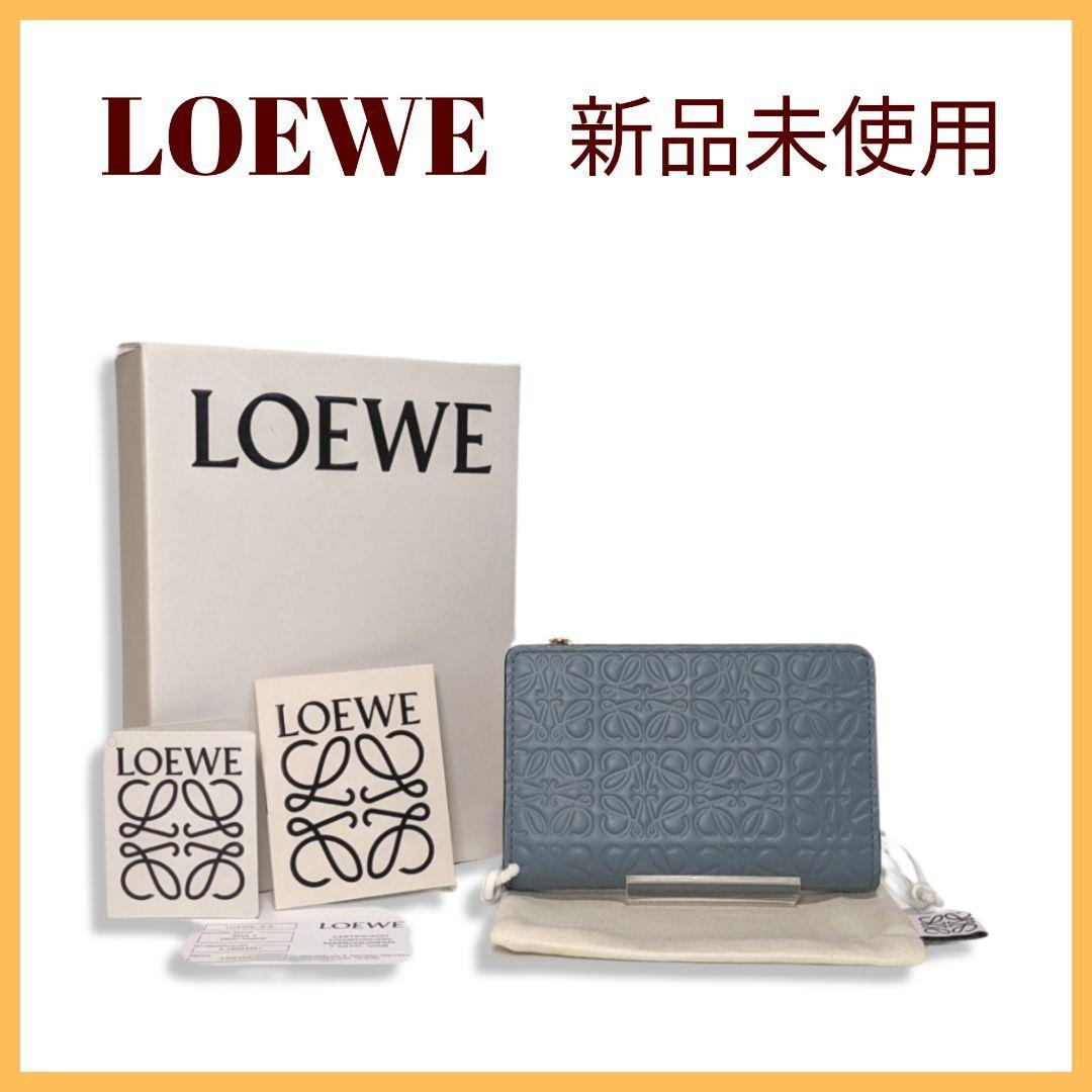 極美品 入手困難 付属品完備 / LOEWE ロエベ リングフラグメントケース