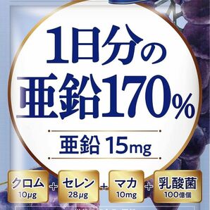 1日分の亜鉛170％ 亜鉛 マカ 乳酸菌 120粒 60日分 新日本ヘルス