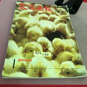 A14-106 家庭画報 一月号 世界文化社 破れ・汚れ・穴あり 昭和36年1月30日発行