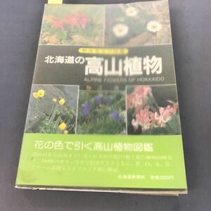 A12-093 野外見分け図鑑 北海道 の高山植物 梅澤 俊 山の花図鑑 書込み有