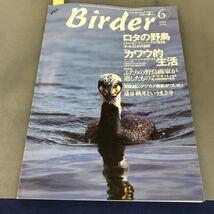 A12-129 Birder JUNE 2002 6 特集 カワウ的生活 文一総合出版_画像1